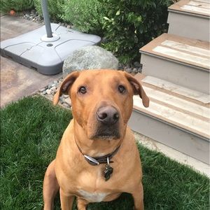 Meet your Posher, Maddi